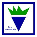 Blue Horseradish Web Marketing