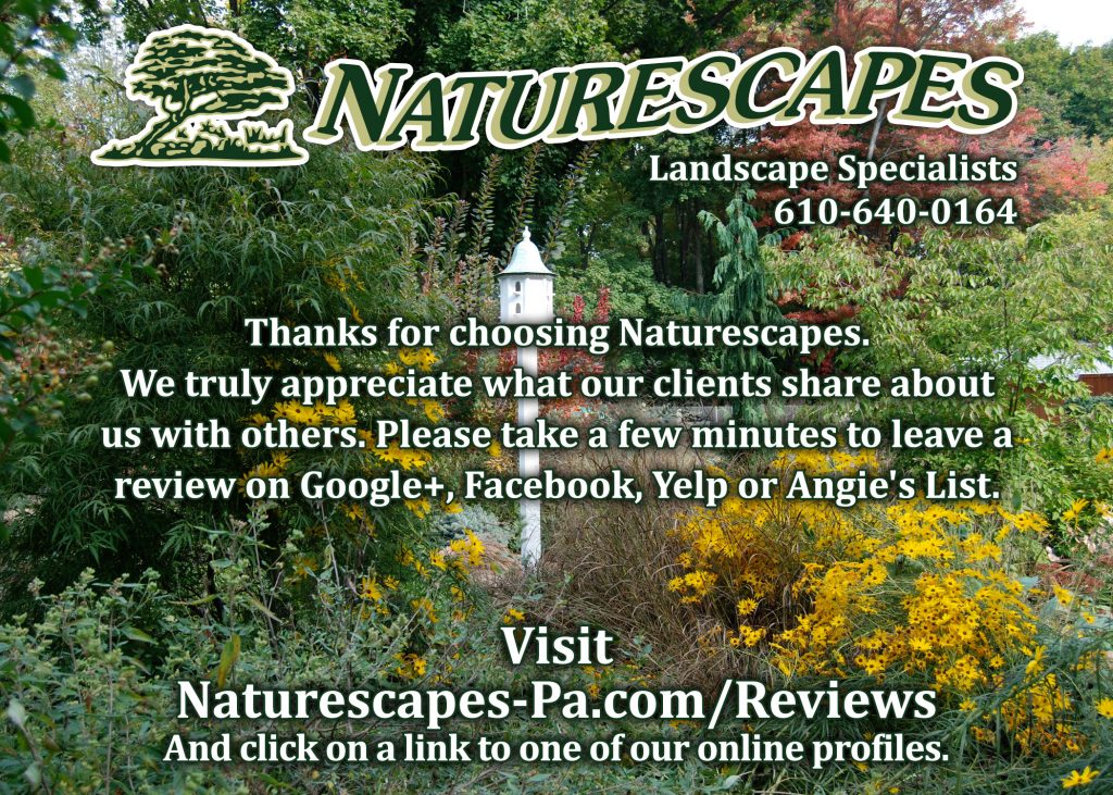 Reviews post card